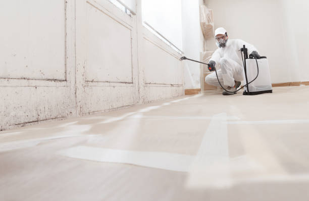 24/7 Emergency Crawl Space Mold Removal experts in Bradley Beach, NJ