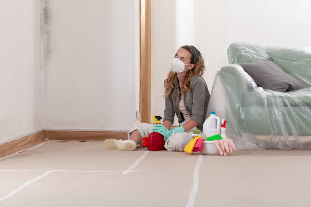 Reliable Crawl Space Mold Removal contractor in Bradley Beach, NJ by WQB Mold Removal